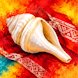 Sacred Conch Shell and Bangles